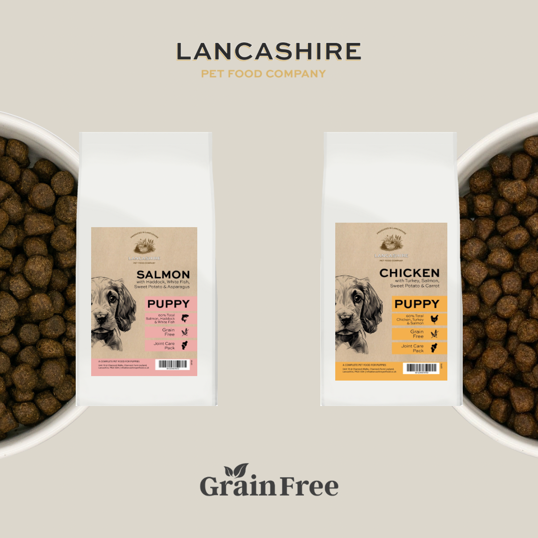 Grain Free Puppy Taster Duo Set