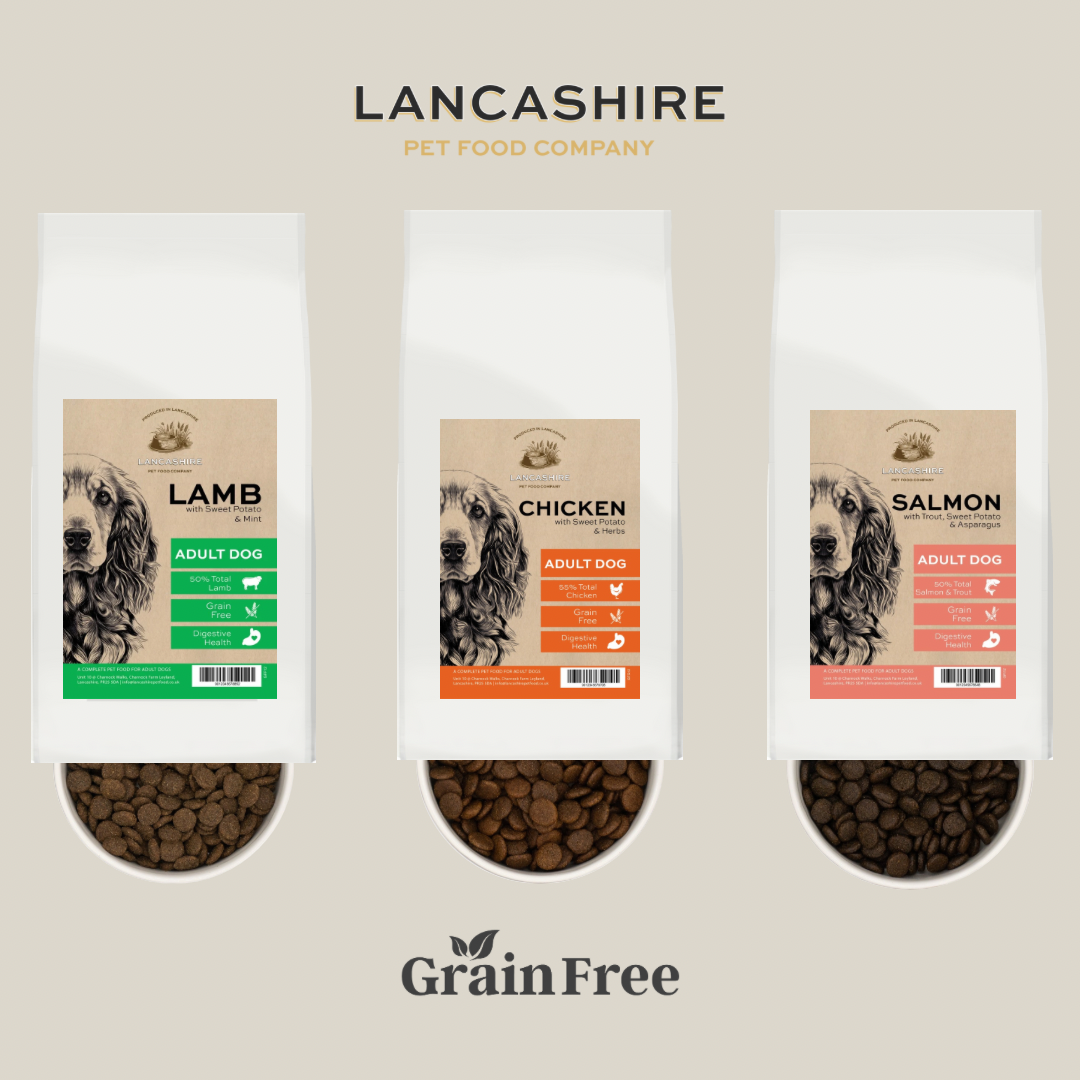 Grain Free Adult Taster Trio Set