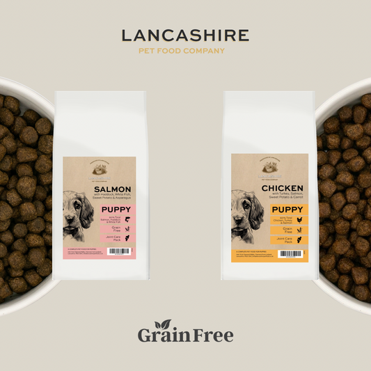 Grain Free Puppy Taster Duo Set