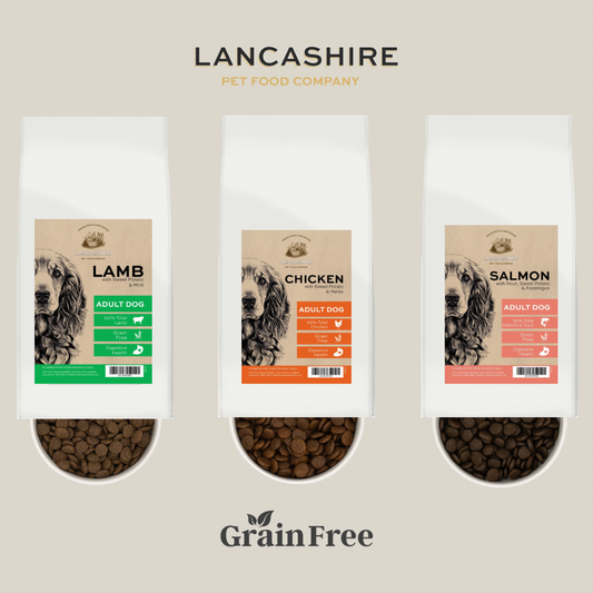 Grain Free Adult Taster Trio Set
